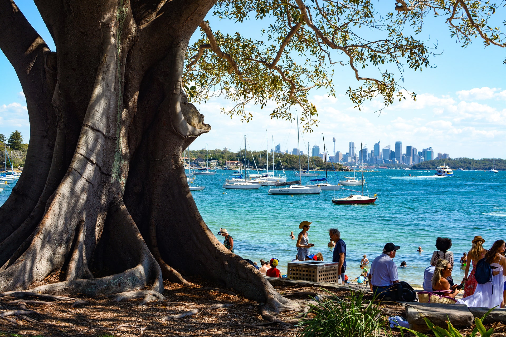 BondiToSydney3-min